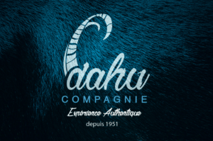 DAHU compagnie samoens